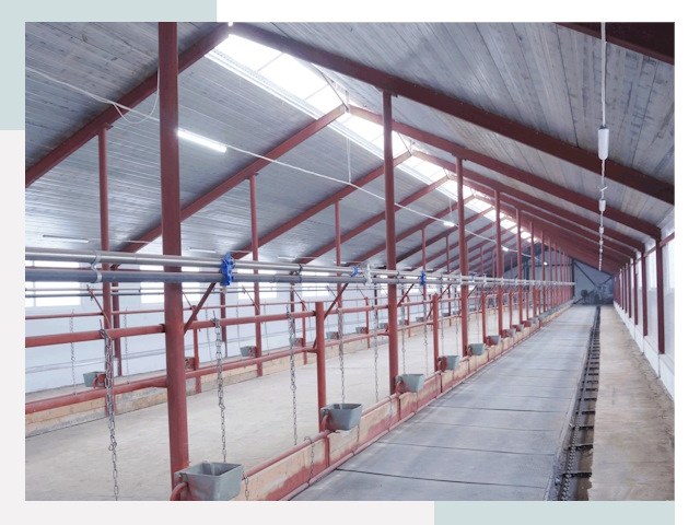 Строительство коровников в Кисловодске от 642 руб.